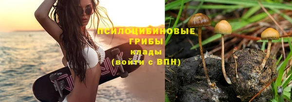кристаллы Липки