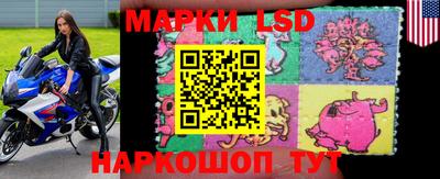 шишки Волжский