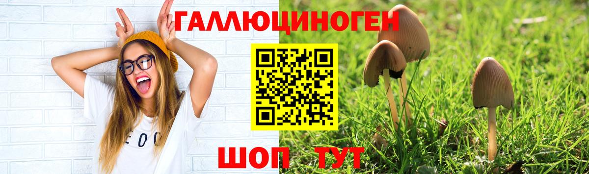 Галлюциногенные грибы Cubensis Геленджик